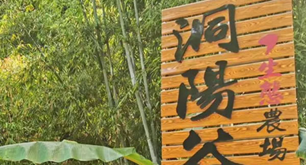 廣有合頁(yè)2019踏春拓展--經(jīng)歷中成長(zhǎng)，成長(zhǎng)中經(jīng)歷